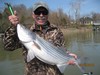 (03/23/2015) - Nice Striped Bass